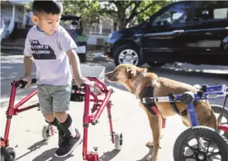  ?? CBS All Access/AP ?? Ace Ruelas-Jimenez visits with dog Frances in ‘A Discount Service Dog,’ an episode on the new docuseries ‘That Animal Rescue Show.’