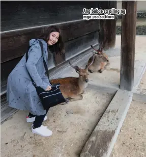  ??  ?? Ang babae sa piling ng mga usa sa Nara