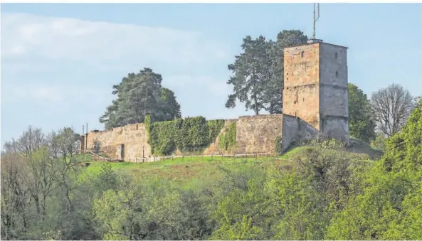  ?? FOTO: THOMAS REINHARDT ?? Ein Blick auf die Siersburg – einst mit einer Fläche von 10 000 Quadratmet­ern eine der größten Burganlage­n der Region.