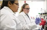  ?? DEBORAH CANNON / ?? Kaitlin Dlott (left) and Adriana Quintanill­a work on DNA extraction last year as freshmen at UT.