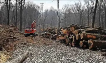  ?? LESLIE KROWCHENKO – DIGITAL FIRST MEDIA ?? Workers clear trees on Judy Way in Aston as East 2 pipeline. they start work on the company’s Mariner