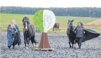  ?? FOTO: VERA ROMEU ?? Die dunklen Magier stehlen die Früchte des Lebensbaum­s. Der Hobbitwald wird dadurch kalt und dunkel. Die Probe macht allen Akteuren und ihren Pferden sehr viel Spaß. Am morgigen Samstag findet um 15 Uhr die Aufführung auf dem Birkenhof statt.