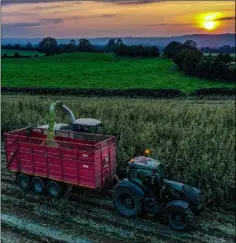  ??  ?? Shot 5: Hughes Agri finishes a harvest of maize before the sun sets over Ballybar Upper, Carlow.