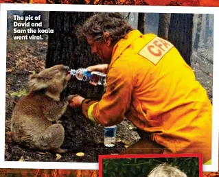  ??  ?? The pic of David and Sam the koala went viral.