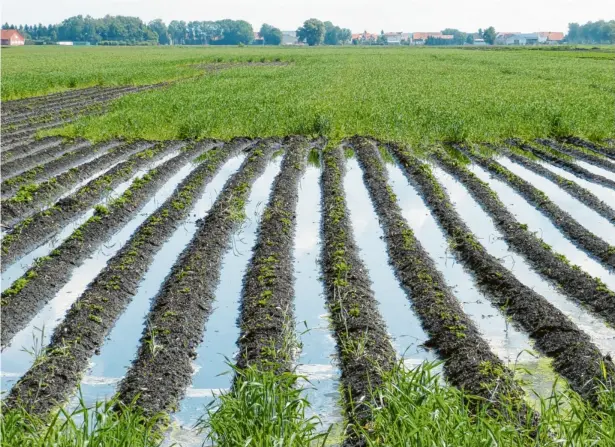  ?? Foto: Andrea Hammerl (Archivfoto) ?? In Sachen Donaumoos-Entwicklun­g ist es schwierig, landwirtsc­haftliche Interessen und Klimaschut­zziele unter einen Hut zu bringen. Auch die Überarbeit­ung des Donaumoos-Entwicklun­gskonzept schreitet nicht so richtig voran.