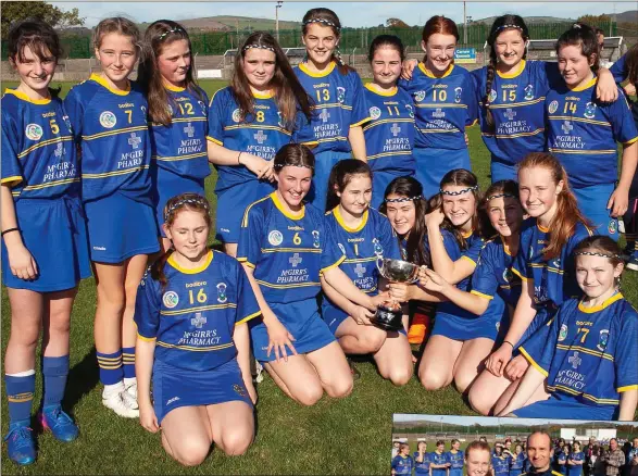  ??  ?? The Carnew Emmets team who defeated Glenealy to claim the Under-14’B’ camogie crown in Pearse’s Park last Saturday morning.