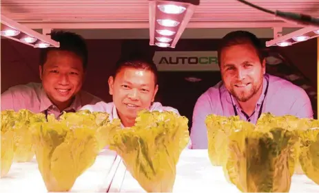  ?? PHOTO: ANDREA DAVY ?? AG TECH: Alex Poon, Dennis Mah and Lee Merry with their AutoCrop display at the GFIA trade fair.