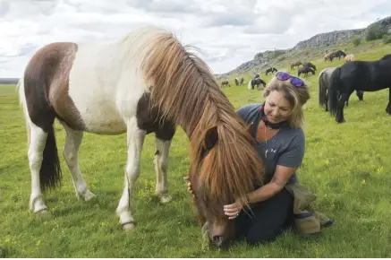  ??  ?? Jill loved
Sol so much while riding her on a previous trip that she bought her! Now Sol stays in Iceland with Bjork and Jill visits for several months each summer.