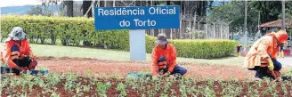  ?? ERNESTO RODRIGUES/ESTADAO ?? Equipe. Funcionári­os plantam mudas de sálvia azul na entrada da Granja do Torto