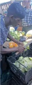 ?? ?? MARCUS Maharaj trims damaged lettuce heads before he sells them.