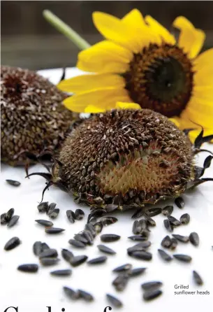  ??  ?? Grilled sunflower heads