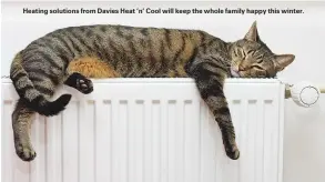  ??  ?? Heating solutions from Davies Heat ’n’ Cool will keep the whole family happy this winter.