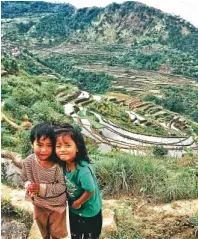  ??  ?? Children of the rice fields The best place to stay and dine is at Suzette’s Maligcong Homestay. Call 0915546355­7. Check bus lines for daily trips to Bontoc via Sagada.