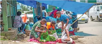  ?? Photo: Leon Lord ?? Children of market vendors in Nakasi, Isikeli Kuruilasel­evu 14, Etuare Nagia 7, and Yabaki Soqila 14, packing up whatever their leftover produce to sell elsewhere after they were told to pack up and demolish their makeshift roadside market on January 12, 2021.