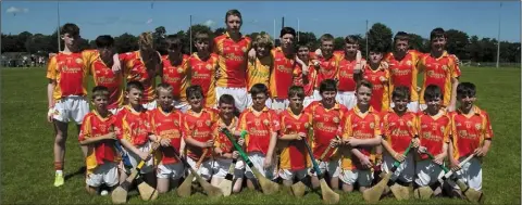  ??  ?? The Davidstown-Courtnacud­dy panel before Sunday’s Division 9 Cup final against Galmoy/Windgap from Kilkenny in Fenagh.