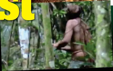  ??  ?? Sole survivor: The ‘Man of the Hole’ was covertly filmed felling in the Amazon rainforest