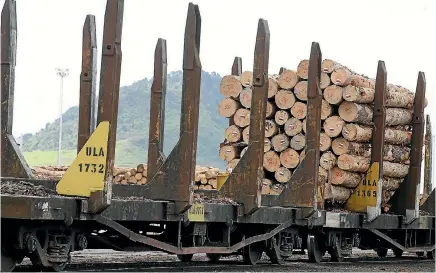  ?? PHOTO: STUFF ?? The Provincial Growth Fund is investing in technology that could rapidly produce native trees at a commercial level.