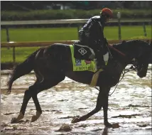  ?? Associated Press photo ?? Kentucky Derby entrant J Boys Echo, ridden by Tammy Fox, goes out for an early morning practice run for the 143rd running of the Kentucky Derby horse race at Churchill Downs Friday, in Louisville, Ky.