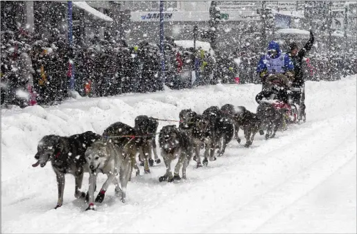  ?? PHOTOS BY MARK THIESSEN/ASSOCIATED PRESS ?? Four-time champion Jeff King takes his sled dog team through a snowstorm in downtown Anchorage, Alaska, during last year’s ceremonial start of the Iditarod Trail Sled Dog Race. Only 33 mushers will be at the starting line today — the smallest field in the race’s 50-year history.