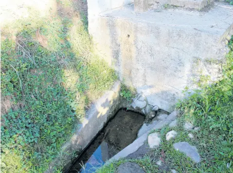  ?? PHOTOS BY PAUL WILLIAMS ?? This little ‘catchment’ of untreated water is one of the water sources in Aleppo, St Mary.