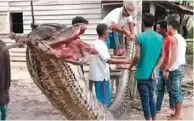  ??  ?? 村民們決定把巨蟒煮來­當晚餐吃。(取材自英國地鐵報)