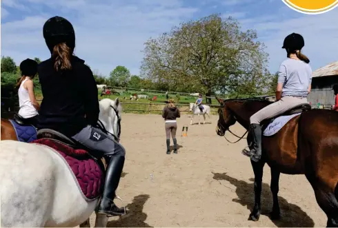  ??  ?? Le métier de moniteur d'équitation fait partie des profession­s toujours autant plébiscité­es dans la filière.