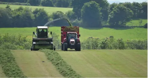  ??  ?? The difference in dry matterbetw­een silage made during the summer drought and recently made autumn silages, is as high as 40pc