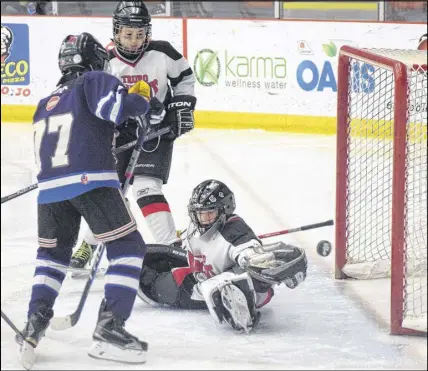 ?? JOEY SMITH/TRURO DAILY NEWS ?? Matthew Mackenzie makes a big save during action at the Hockey Nova Scotia atom A final in Truro on Friday. Mackenzie and his Truro Inglis Jewellers Bearcats settled for provincial silver after dropping a 5-0 decision to the South Shore Sharks at the...