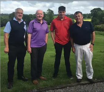  ??  ?? Dunlavin GAA held their annual Golf Classic in Rathsallag­h Golf Club last weekend. Well done to the winning teams. First prize went to Paddy Norton, Dan Leigh, Mick Sleator and Mick Keogh (above). Second prize went to Niall Dunne, PJ Harte Johnny Willis and Maurice Keogh (directly below).And thirdd prize went to Pearse Daly, Grame Wilson, Vincent Cronin and Gordon Cronin (bottom). Men’s longest drive went to Thomas Kelly; Ladies longest drive went to Breda Walsh; Men’s nearest to the pin Went to Ger Deegan; Ladies nearest to the pin went to Breda Walsh. A special thanks goes to all our sponsors and to Dublin Products in particular for sponsoring the prizes.