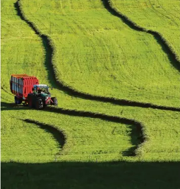  ?? Archivfoto: Karl-Josef Hildenbran­d, dpa ?? Bayerns Umweltmini­ster Thorsten Glauber ruft vor allem auch die Landwirte auf, sich aktiv in die Diskussion um mehr Artenschut­z einzubring­en.