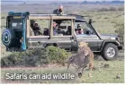  ??  ?? Safaris can aid wildlife