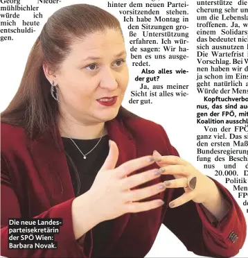  ??  ?? Die neue Landespart­eisek retirin der SPÖ Wien: Barbara N ovak .