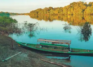  ?? / Getty ?? La mitad de los ecosistema­s colombiano­s están en un riesgo alto.