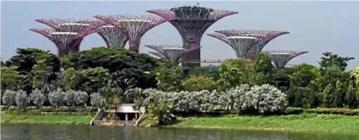  ?? MICHAEL DALY ?? Steel and concrete supertrees at Gardens by the Bay.