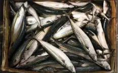  ?? AP PHOTO/JOHN MINCHILLO ?? In this March 29, 2013 file photo, fresh fish rest on ice, displayed for sale at the Fulton Fish Market in New York.