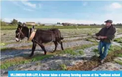  ??  ?? VILLENEUVE-SUR-LOT: A farmer takes a donkey farming course at the “national school of donkey farming” (Enam), on November 15, 2017. —AFP