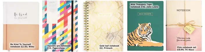  ??  ?? Be Kind To Yourself notebook £2.50, Wilko
Agenzio geo notebook £12, Paperchase
Gold leaf notebook £2, Primark
Wild Thoughts Tiger notebook £16, John Lewis
Pink notebook set £8.99, TK Maxx