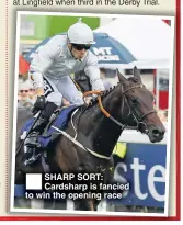  ??  ?? SHARP SORT: Cardsharp is fancied to win the opening race