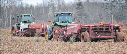  ?? ERIC MCCARTHY/JOURNAL PIONEER ?? Two windrowers move through a potato field at Profit’s Corner Tuesday morning before rain forced the equipment to stop. Wet conditions are making the harvesting of the 2018 potato crop particular­ly challengin­g.