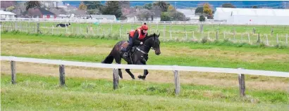  ?? ?? Cetus and trainer Donna Beck training at the Levin track this week.