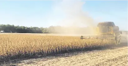  ?? ?? La cosecha de soja está en su máximo apogeo y las exportacio­nes del grano registran crecimient­o sobre el 2023, informó Capeco.