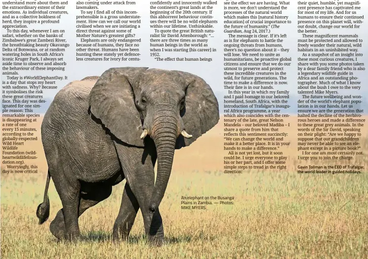  ??  ?? An elephant on the Busanga Plains in Zambia. — Photos: MIKE MYERS