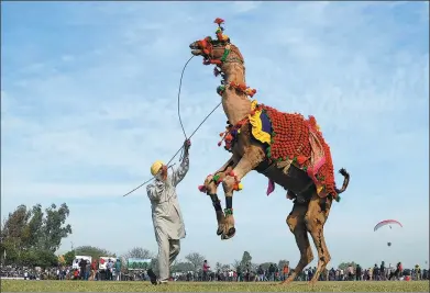  ?? SHAMMI MEHRA / AGENCE FRANCE-PRESSE ?? A camel and its owner dance during the last day of the Kila Raipur Games, known as the rural Olympics, at Kila Raipur on the outskirts of Ludhiana, India, on Sunday.