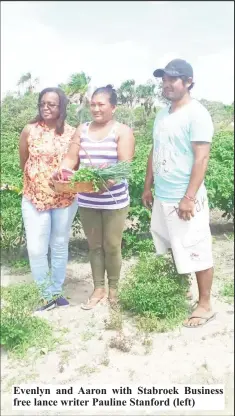  ?? ?? Evenlyn and Aaron with Stabroek Business free lance writer Pauline Stanford (left)