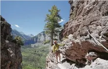  ??  ?? Guide Joshua Butson takes a break on the Telluride via ferrata to take in some of the stunning views of the surroundin­g mountains and valley.