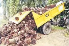  ??  ?? According to MIDF Research, the 12 per cent year on year (y-o-y) decline in production is the second consecutiv­e y-o-y but this could be caused by fasting month and Hari Raya effect.