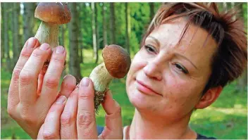  ?? FOTO: DPA ?? Derzeit lassen sich viele Pilze finden. Am 22. Oktober startet eine Wanderung von Haus Lochfeld.