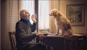  ?? Michael Dweck and Gregory Kershaw / Sony Pictures Classics ?? Aurelio Conterno, left, with his dog Birba in “The Truffle Hunters.”