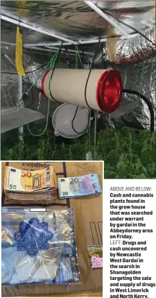  ?? ABOVE AND BELOW: LEFT: ?? Cash and cannabis plants found in the grow house that was searched under warrant by gardaí in the Abbeydorne­y area on Friday.
Drugs and cash uncovered by Newcastle West Gardaí in the search in Shanagolde­n targeting the sale and supply of drugs in West Limerick and North Kerry.