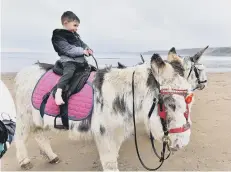  ??  ?? Taking a ride on the beach.